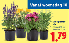 klik op dit plaatje voor een vergroting en voor vergelijkbare aanbiedingen gerelateerd aan
tuinplanten 13 25 woensdag mix potmaat cm hoogte ca. tuinplanten 13 25 woensdag mix potmaat cm hoogte ca.