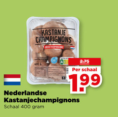  kastanjechampignons 400 kastanje champignons grootverpakking bakken nederlandse schaal 