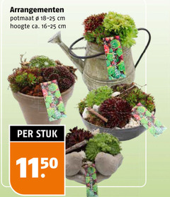  kamerplanten arrangementen potmaat cm hoogte ca. stuk 