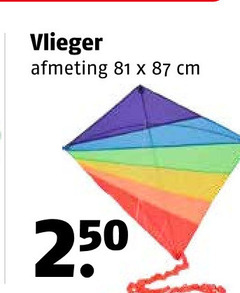  vlieger 250 cm 
