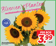  1 4 bloemen planten kwekers juf jaar bos 3.99 zonnebloemen stelen 