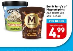  ben and jerrys magnum ijsspecialiteit 99 cookie dough vanilla ice cream with chunks chocolate chip salted caramel pints bekers ml beker 
