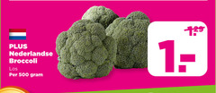  broccoli 500 nederlandse 