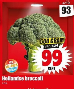  broccoli 99 500 hollandse bodem cent 