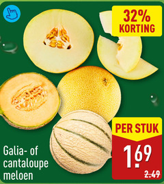  meloen 32 galia cantaloupe stuk 