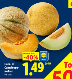  meloen galia cantaloupe stuk 