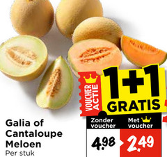  meloen 1 voucher galia cantaloupe stuk 