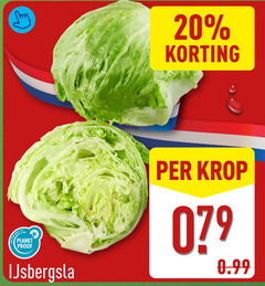  ijsbergsla 20 to planet proof krop 