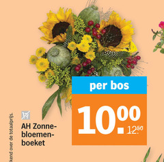  zonne bloemen boeket bos 10 