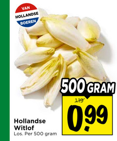  witlof 500 hollandse boeren 99 