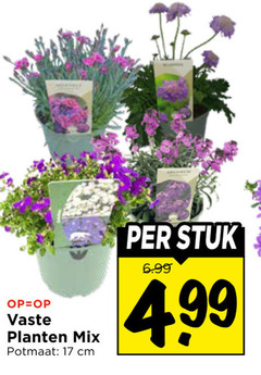  tuinplanten 17 vaste planten mix potmaat cm stuk 
