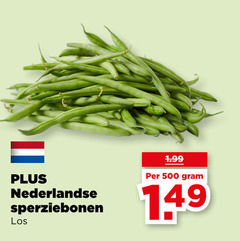  sperziebonen 500 nederlandse 