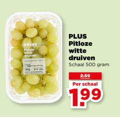  druiven 1 500 inhoud pitloze witte klasse sugar crisp schaal 