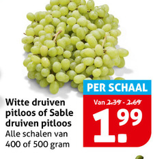  druiven 400 500 witte pitloos sable schalen schaal 