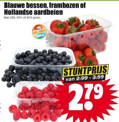  aardbeien blauwe bessen frambozen 225 300 400 hollandse bak bodem 