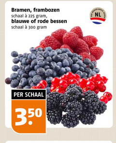  bramen blauwe bessen frambozen 225 300 350 schaal rode nederlandse nl bodem 