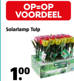  solarlamp 100 voordeel tulp 
