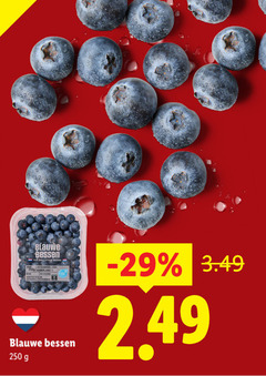  blauwe bessen 1 250 nederland 
