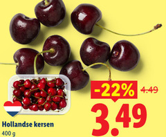  kersen 400 hollandse 