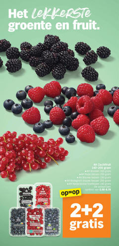  frambozen bramen blauwe bessen 2 6 140 150 200 groente fruit nature rode turn bra nederlandse b zachtfruit 140-200 biologisch varieeren 