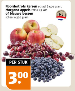  kersen appels blauwe bessen 300 400 noordertrots schaal morgana zak kilo nederlandse nl bodem stuk 