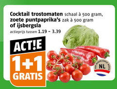  1 500 cocktail trostomaten schaal zoete zak ijsbergsla actieprijs nederlandse nl bodem 