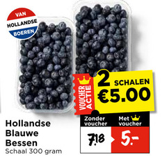  blauwe bessen 2 300 hollandse boeren voucher schalen schaal 