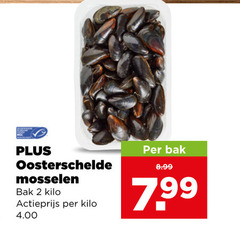  mosselen 2 oosterschelde bak kilo actieprijs 7 99 