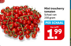 klik op dit plaatje voor een vergroting en voor vergelijkbare aanbiedingen gerelateerd aan
250 mini troscherry tomaten schaal 250 mini troscherry tomaten schaal