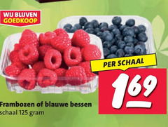  frambozen blauwe bessen 00 schaal 