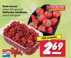  rode bessen aardbeien 400 500 schaal hollandse holland 