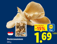  200 oesterzwammen 