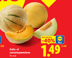  galia cantaloupe meloen stuk 