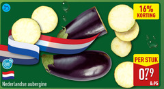  aubergine 16 to planet proof stuk nederlandse 