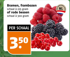 klik op dit plaatje voor een vergroting en voor vergelijkbare aanbiedingen gerelateerd aan
225 300 350 bramen frambozen schaal rode bessen nederlandse nl bodem 225 300 350 bramen frambozen schaal rode bessen nederlandse nl bodem