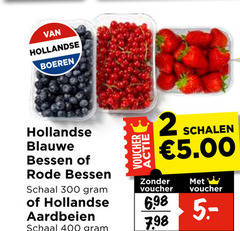  blauwe bessen rode aardbeien 2 300 400 hollandse boeren schaal voucher schalen 