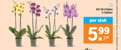 klik op dit plaatje voor een vergroting en voor vergelijkbare aanbiedingen gerelateerd aan
orchidee 2 stuk 5.99 productvarianten orchidee 2 stuk 5.99 productvarianten