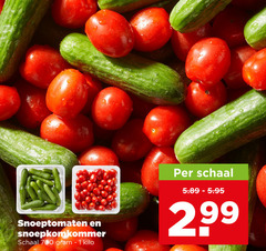  cherry tomaten 1 700 snoeptomaten schaal kilo 