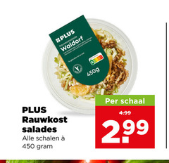  450 waldorf rauwkost salades schalen schaal 2 99 