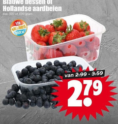  blauwe bessen aardbeien 279 300 400 hollandse bak bodem 