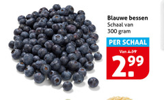  blauwe bessen 300 schaal 