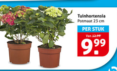 klik op dit plaatje voor een vergroting en voor vergelijkbare aanbiedingen gerelateerd aan
23 tuinhortensia potmaat cm stuk 23 tuinhortensia potmaat cm stuk