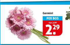 klik op dit plaatje voor een vergroting en voor vergelijkbare aanbiedingen gerelateerd aan
germini bos germini bos