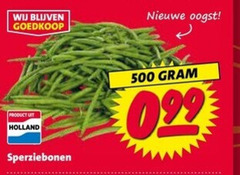  sperziebonen 500 nieuwe oogst holland 