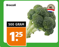  broccoli 500 nl bodem 
