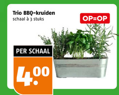  kruiden 3 trio bbq schaal stuks 