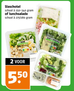  saladeschotel 2 slaschotel schaal lunchsalade caesar tomaat 
