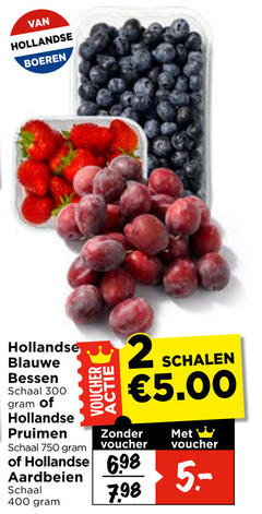  aardbeien pruimen blauwe bessen 2 300 400 750 hollandse boeren schaal voucher schalen 