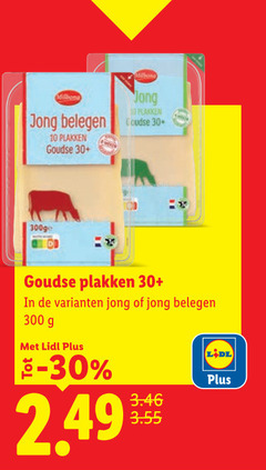  kaasplakken 4 10 30 300 jong belegen goudse 