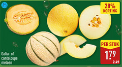  meloen 28 galia cantaloupe stuk 